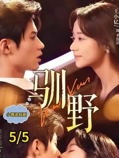樱花影视剧集寂静的证词律政海报